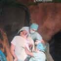 The One Surgeon Who Gave Up Too Soon on Random Greatest Rollercoaster Pics Ever Taken