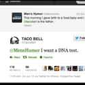 Food Babies Are Serious Business on Random Best Taco Bell Tweets