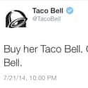 They're Not Wrong on Random Best Taco Bell Tweets