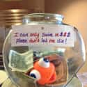 Nemo Nooooooo on Random Funny Tip Jars That Would Earn Your Quarters