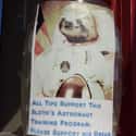 NASA Needs a Lot of Help Everyone, C'mon on Random Funny Tip Jars That Would Earn Your Quarters
