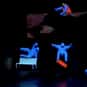 Fighting Gravity is listed (or ranked) 10 on the list The Best "America's Got Talent" Acts