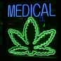Marijuana is listed (or ranked) 33 on the list Essential Products For a Perfect Gamer Survival Kit