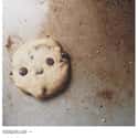 This Adorable Cookie on Random  Everyday Objects That Look Really Happy