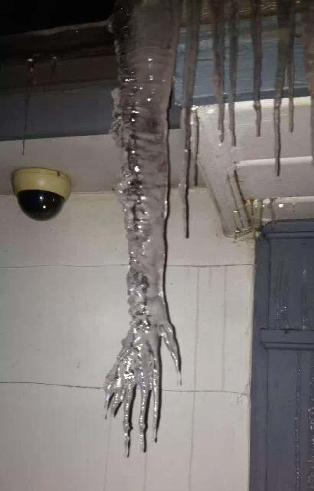 This Icicle