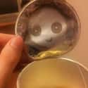 This Pringles Seal on Random  Everyday Objects That Look Really Happy