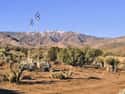 Blair Valley Campground Borrego Springs on Random Best Camping Spots in Southern California