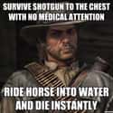 Horses And Water Just Don't Mix on Random Jokes That Make Zero Sense Unless You've Played The Game