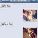 Mrow on Random People Who Texted Wrong Number At Wrong Time