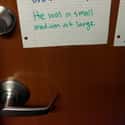 Creative Writing 203: Intro to Dad Jokes on Random Hilariously Passive-Aggressive College Dorm Room Signs