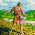 The Parable of the Sower on Random Best Bible Stories For Kids
