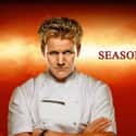 Hell's Kitchen - Season 12 on Random Best Seasons of 'Hell's Kitchen'