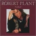 Profiled! on Random Best Robert Plant Albums