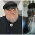 George RR Martin on Random Cats Who Look Like GoT Characters