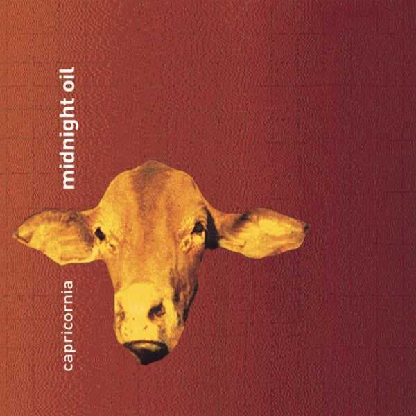 The Best Midnight Oil Albums, Ranked By Fans