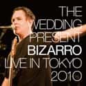 Bizarro: Live in Tokyo 2010 on Random Best Wedding Present Albums