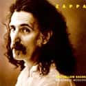 The Yellow Shark on Random Best Frank Zappa Albums List