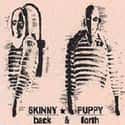 Back and Forth on Random Best Skinny Puppy Albums