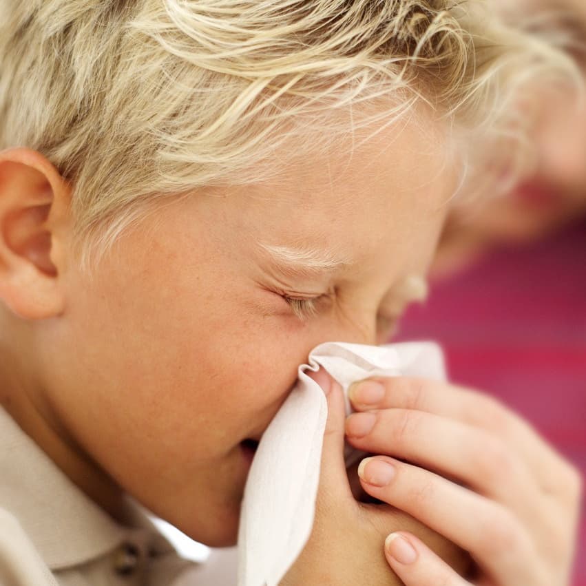 Runny Noses