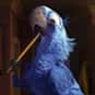 Blu is listed (or ranked) 22 on the list The Greatest Bird Characters of All Time