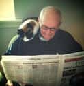 Today's Headlines on Random Things These Cats Are Looking At