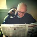 Today's Headlines on Random Things These Cats Are Looking At