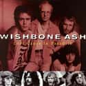 Lost Cause in Paradise on Random Best Wishbone Ash Albums