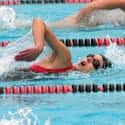 Swimming‎ on Random Best Solo Sports for Girls