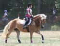 Horseback Riding on Random Best Solo Sports for Girls