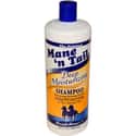Mane N' Tail Shampoo on Random '90s Beauty Brands That Remind You of Your Childhood
