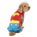 Wonder Woof on Random Best Pets Dressed as Superheroes