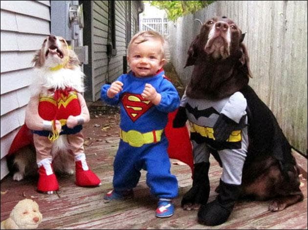 Random Best Pets Dressed as Superheroes