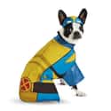 Snuggly Wolverine on Random Best Pets Dressed as Superheroes