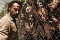 The Dead Outnumber the Living by a Staggering Amount on Random Things You Didn't Know About The Walking Dead