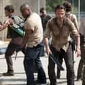 More People Were Killed by the Living Than the Dead in Season 3 on Random Things You Didn't Know About The Walking Dead