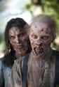 Zombies Look Worse Over Time on Random Things You Didn't Know About The Walking Dead