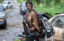 Daryl's Crossbow is Sold At Walmart for $300 on Random Things You Didn't Know About The Walking Dead