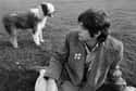 Paul McCartney Wrote Songs For His Dog on Random Amazing Dog Facts You Never Knew