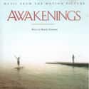 Awakenings on Random Best Randy Newman Albums