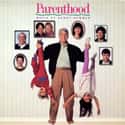 Parenthood on Random Best Randy Newman Albums