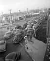 Traffic Jam In Los Angeles, 1953 on Random Incredible Vintage Photos