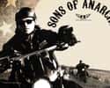Sons of Anarchy Originally Had a Different Title on Random Surprising Facts You Didn't Know About Sons of Anarchy