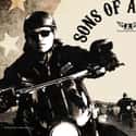 Sons of Anarchy Originally Had a Different Title on Random Surprising Facts You Didn't Know About Sons of Anarchy