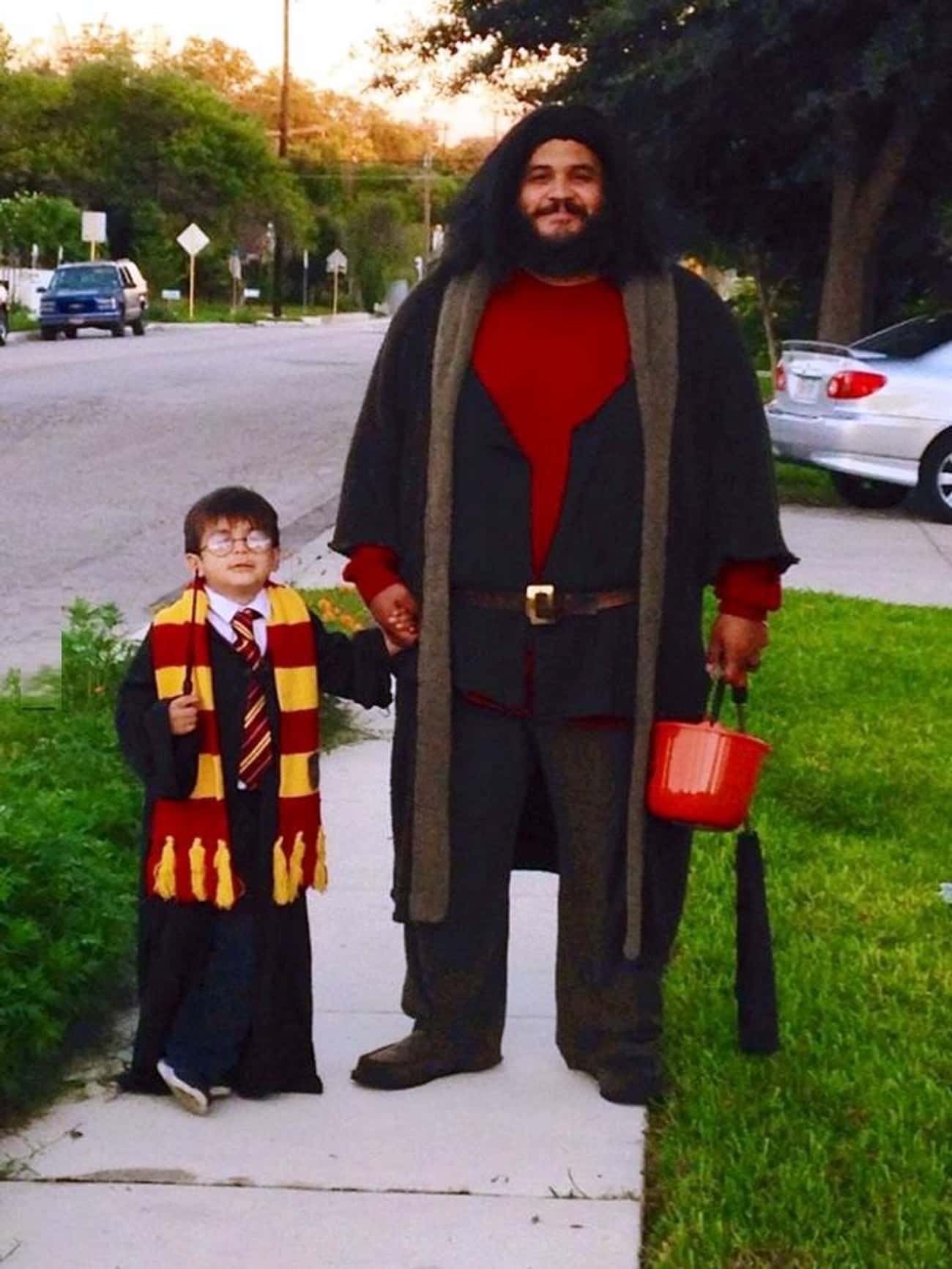 Scale Harry Potter and Hagrid