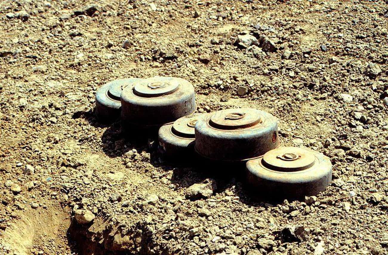 Nuclear Landmines Kept Warm by Chickens