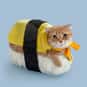 Sushi Cat is listed (or ranked) 11 on the list The Best Places to Go to Lunch by the Ranker Office