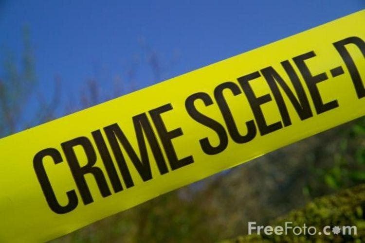 Random Best Jobs in the World Best Random Tools