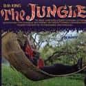 The Jungle on Random Best B.B. King Albums