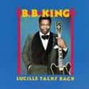 Lucille Talks Back on Random Best B.B. King Albums