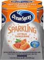 Ocean Spray Sparkling Citrus Tangerine on Random Best Ocean Spray Flavors